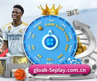 5e对战平台 APP 深度功能 | 5eplay